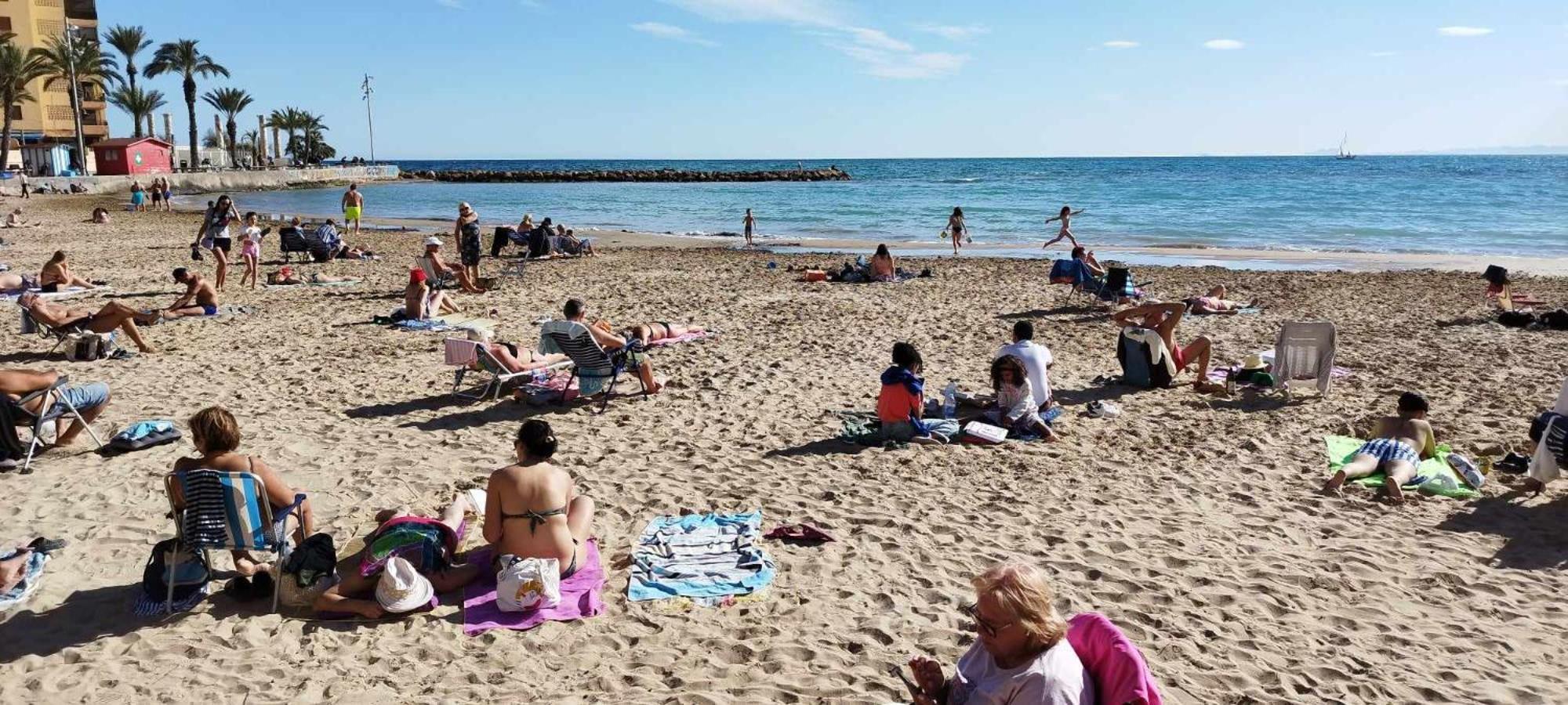 Seaview Playa Del Cura 50M Torrevieja Citycentre Apartment 외부 사진