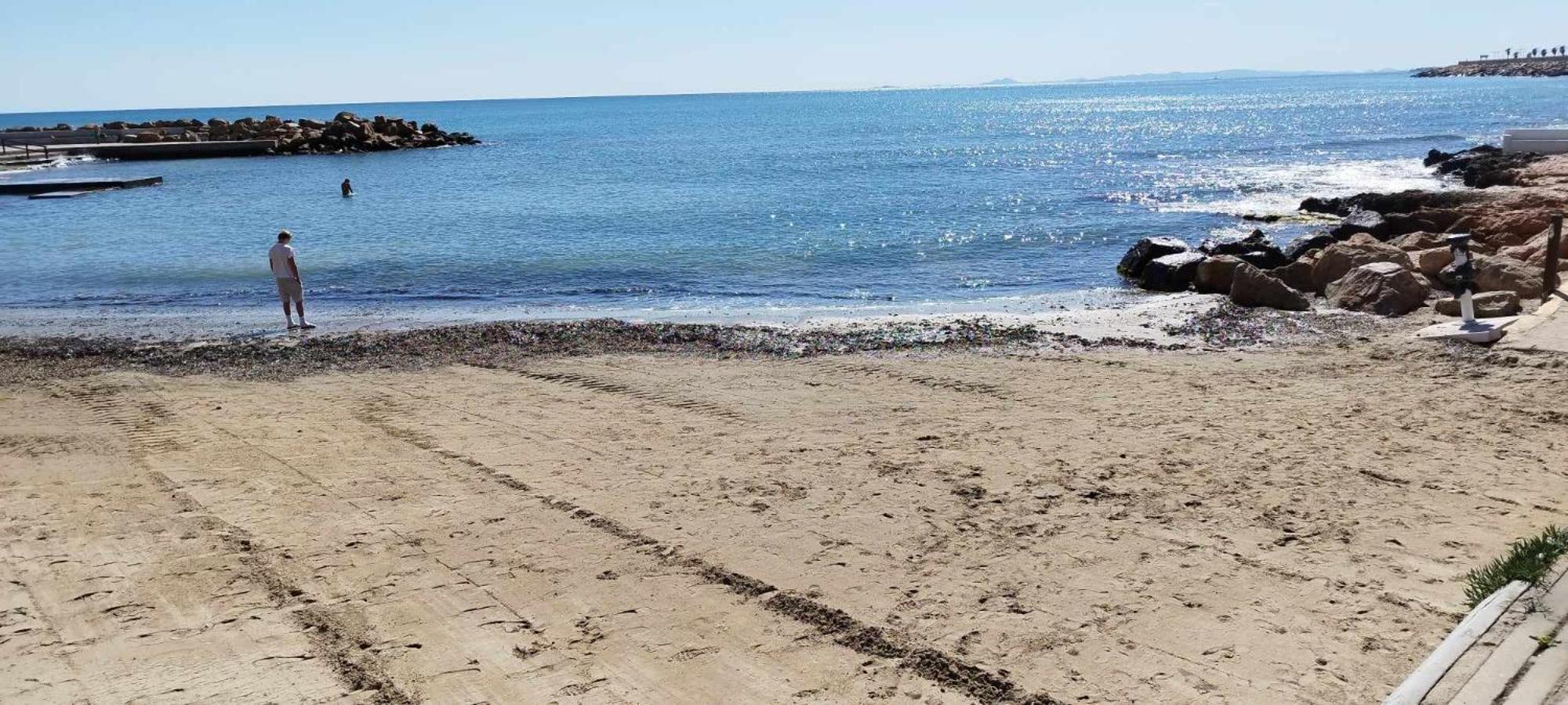 Seaview Playa Del Cura 50M Torrevieja Citycentre Apartment 외부 사진