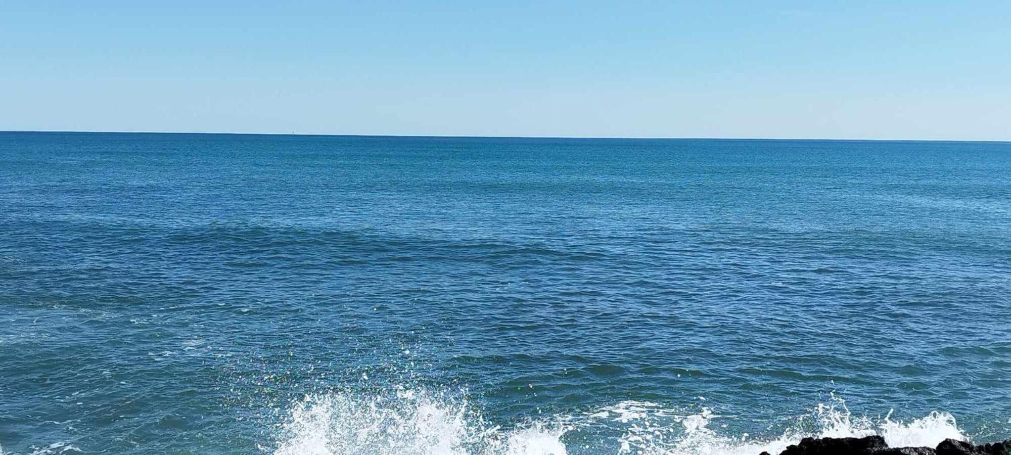 Seaview Playa Del Cura 50M Torrevieja Citycentre Apartment 외부 사진