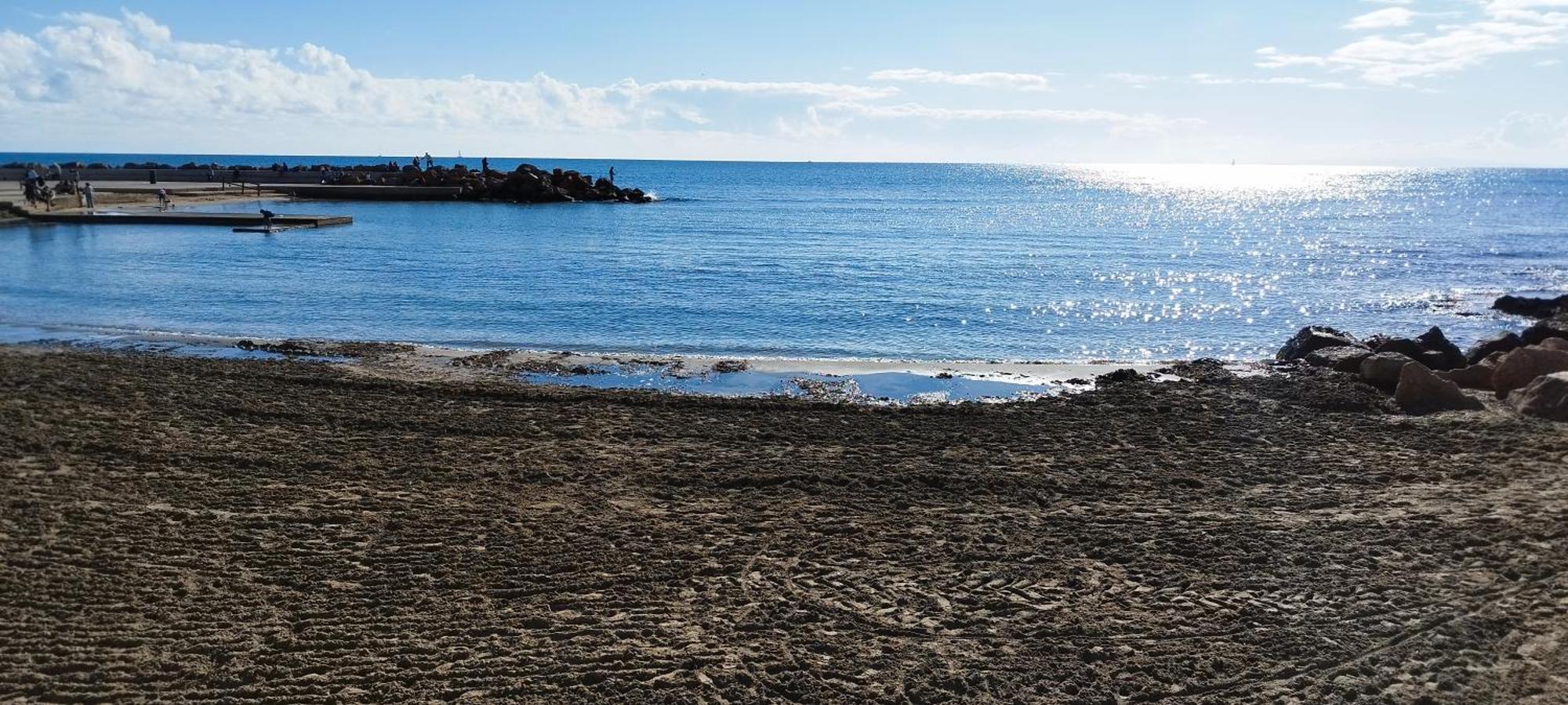 Seaview Playa Del Cura 50M Torrevieja Citycentre Apartment 외부 사진