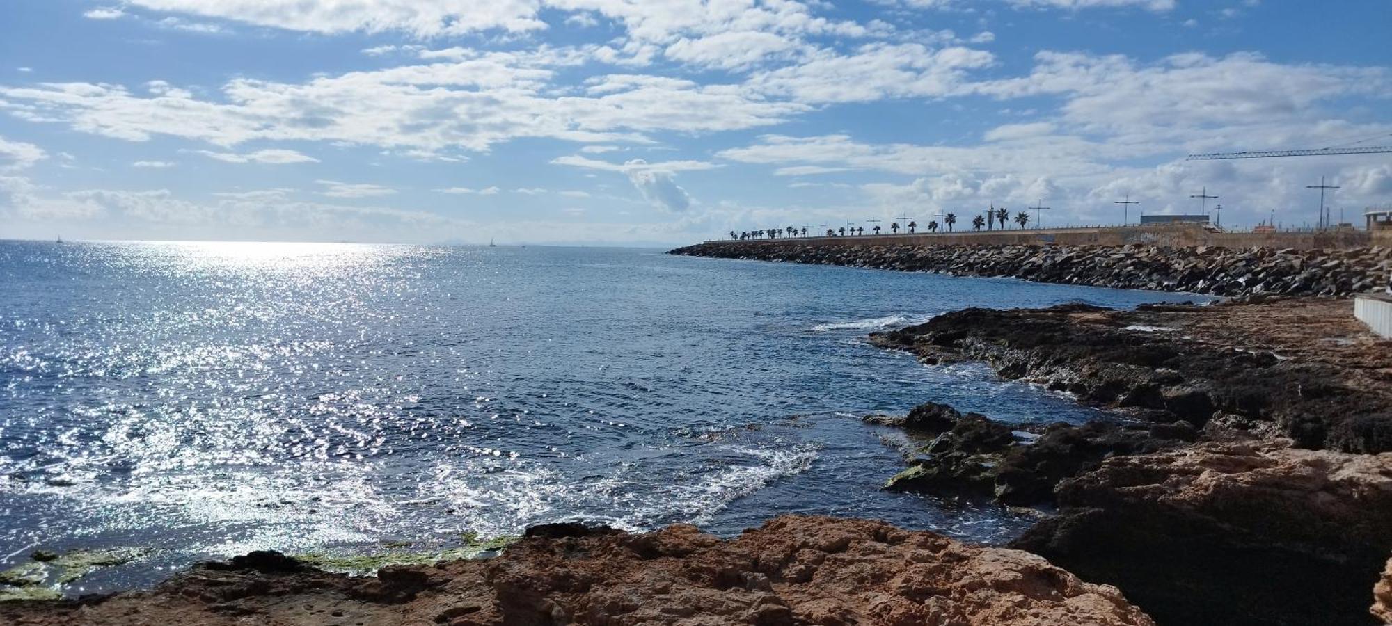 Seaview Playa Del Cura 50M Torrevieja Citycentre Apartment 외부 사진